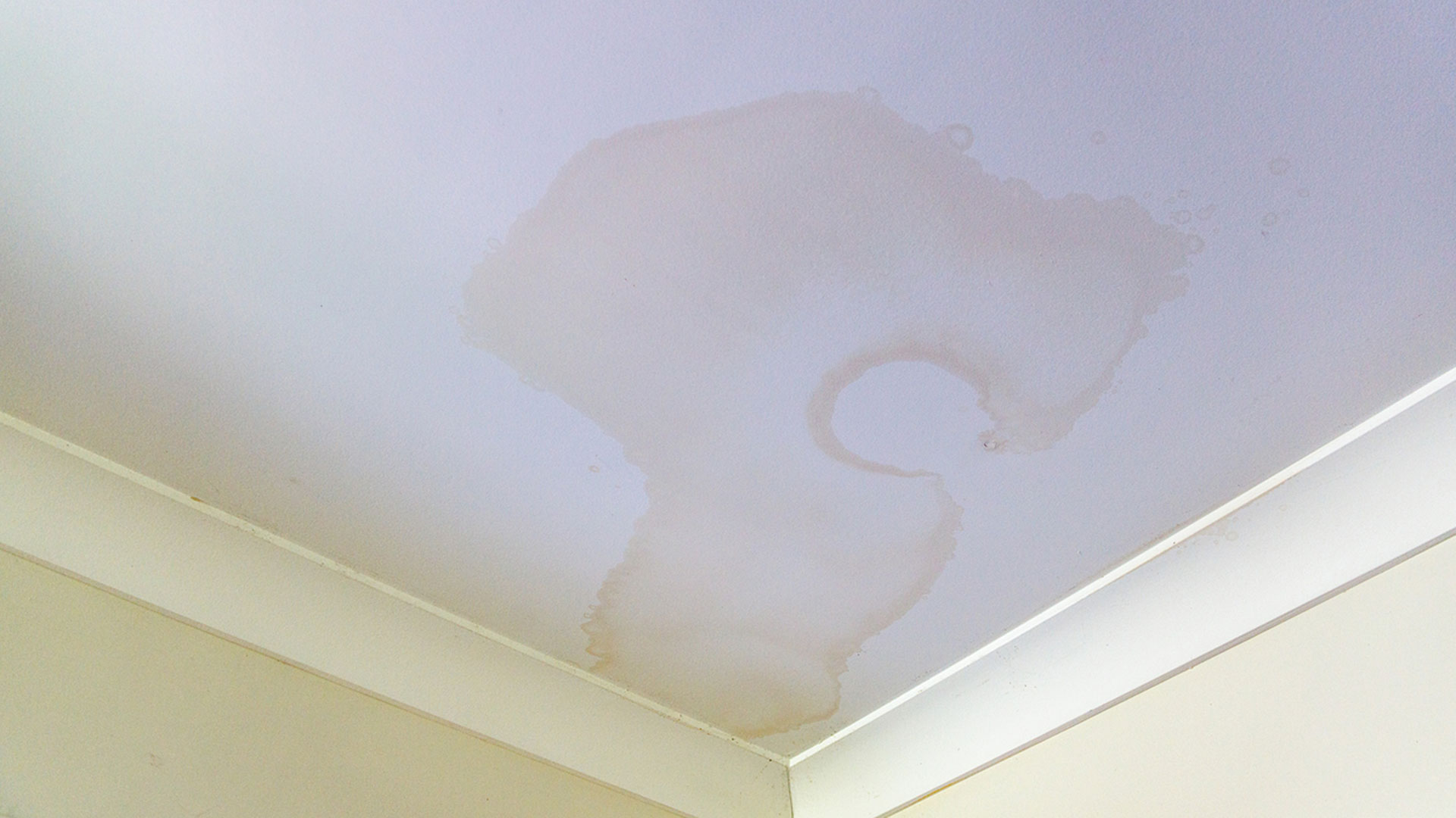 Drew Roofing, South Pinellas County, How To Spot Storm Damage On The Roof
