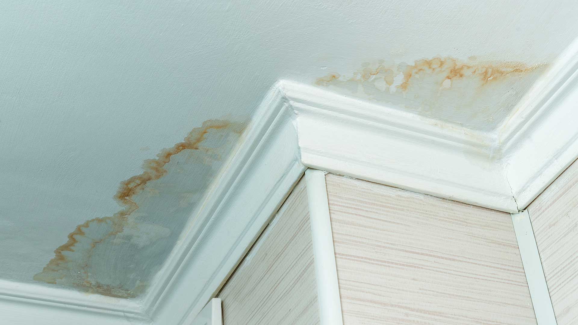 Emergency Roof Leak Repair near me in St. Petersburg, Florida, Drew Roofing
